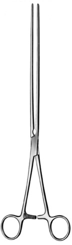 Sdudder- <P>Intestinal Forceps<BR></P>rn<P>&nbsp;</P>