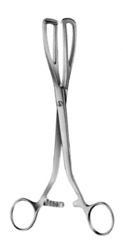 Young- Lithotomy Forceps
