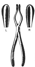 Walsham- <P>Septum Forceps</P>