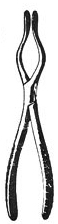 Walsham- Septum Forceps