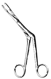 Heymann-Knight- Rhinology