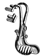 Buxton- Oral Instruments
