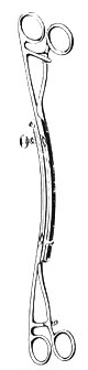 Lane- Intestines and Stomech