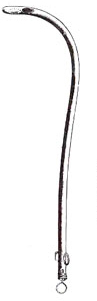 Coxeter- <P>Urology<BR></P>