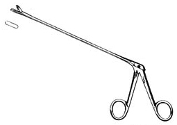 Mathieu- Urology