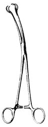 Skene- Gynecology