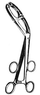 Bonney- Gynecology