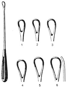 Thomas- Gynecology