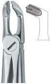 lower third molars- lower third molars