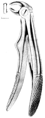 lower incisors lower incisors