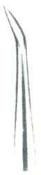 root fragments Crane pick