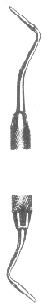 Amalgan instruments Also available non-serrated <FONT size=4>(PLGO/1NS<FONT size=4>).</FONT></FONT>