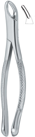 American Pattern- upper incisors, premolars, roots